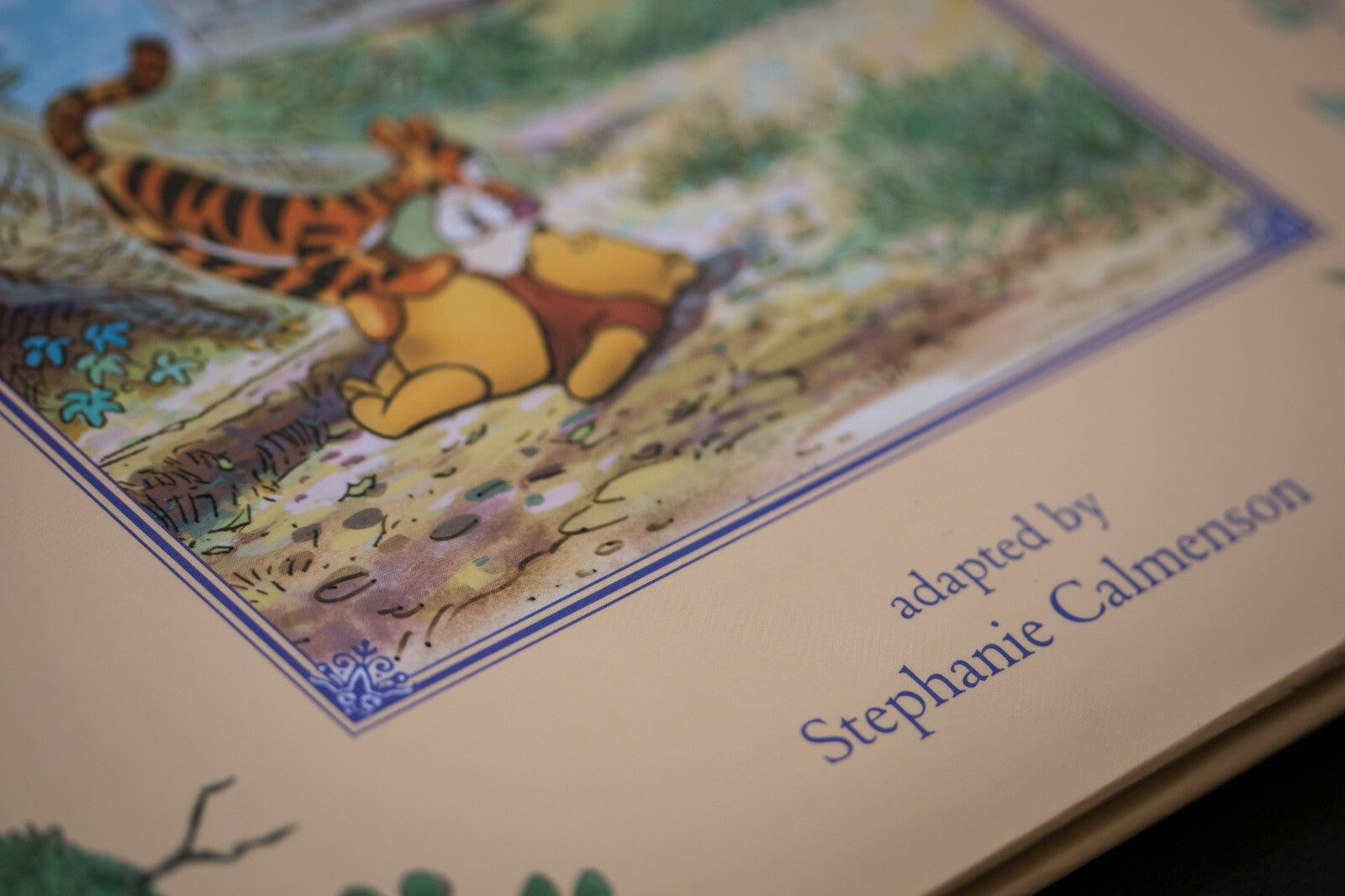 Winnie the Pooh and Tigger Too Book 2009 Hardback Illustrated Disney Gift