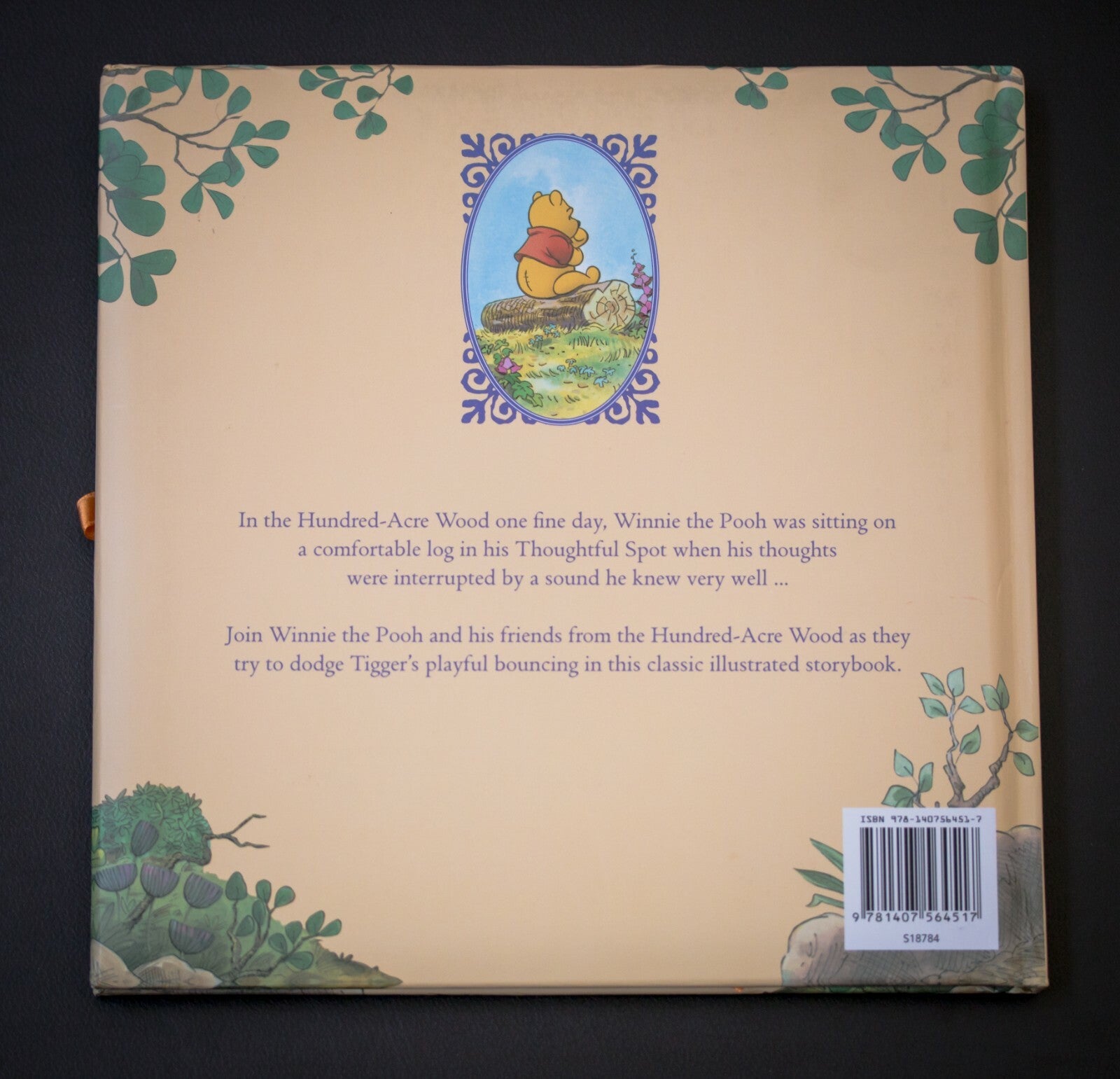 Winnie the Pooh and Tigger Too Book 2009 Hardback Illustrated Disney Gift